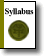 Syllabus